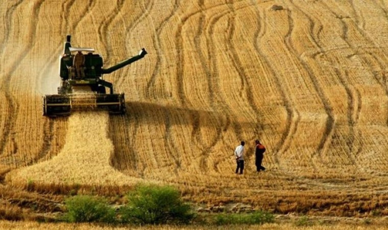 Tarım ÜFE bir yılda yüzde 54 arttı